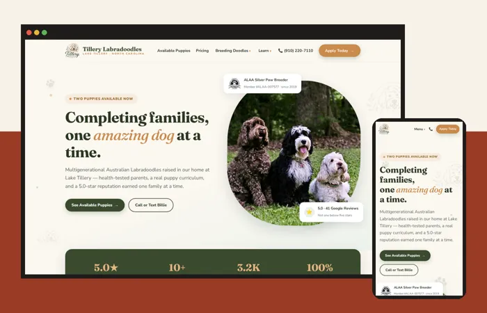 Tillery Labradoodles website